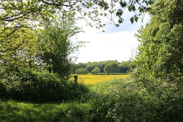 Farm trails